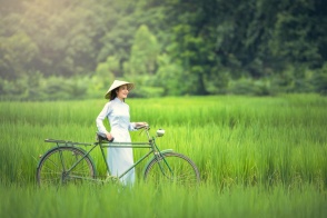 Rice Terrace Route of North Vietnam 12 Days 11 Nights