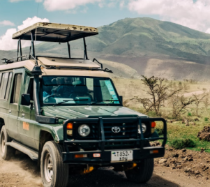 Safari