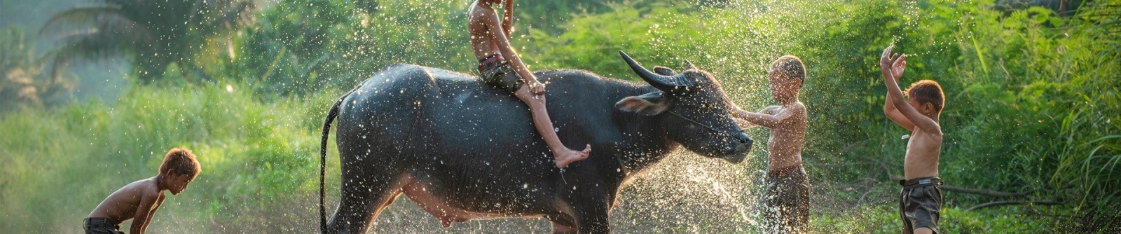 Vietnam