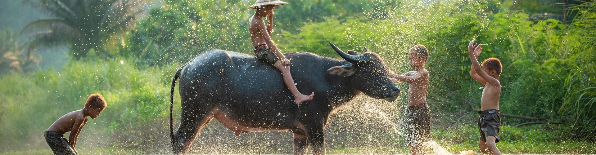 Vietnam