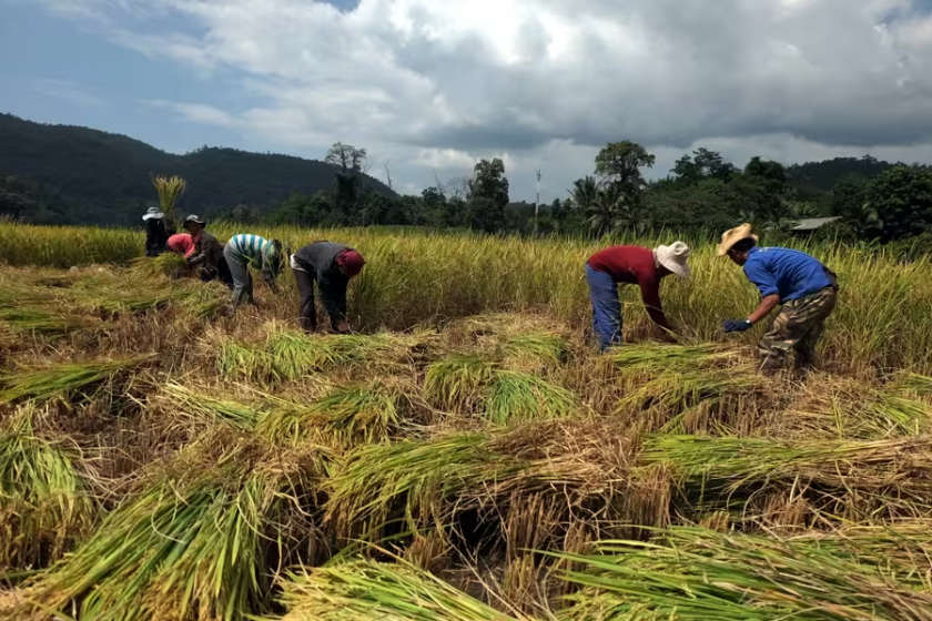 Mae Hong Son