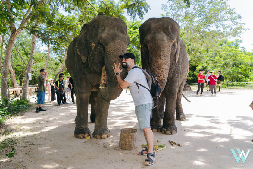 Kulen Éléphant
