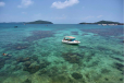 Snorkeling