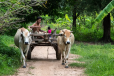 Campagne Cambodge