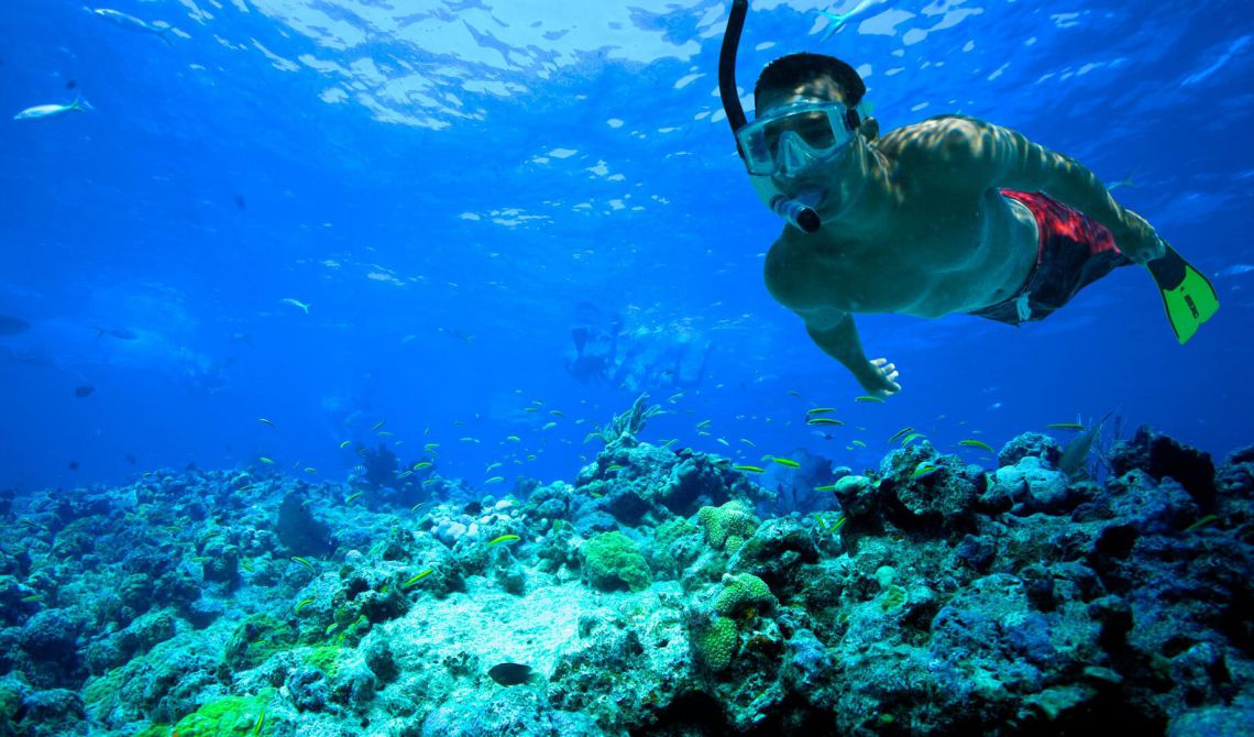 Day 11: Nha Trang - Islands And Snorkeling Tour (B; L) (Breakfast, Lunch)