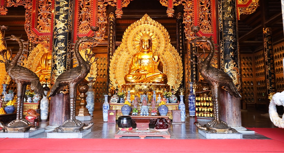 Day 5: Tam Coc - Thung Nham - Bai Dinh Pagoda - Mai Chau (140km – 3h30) (B; L; D) (Breakfast, Lunch, Dinner)